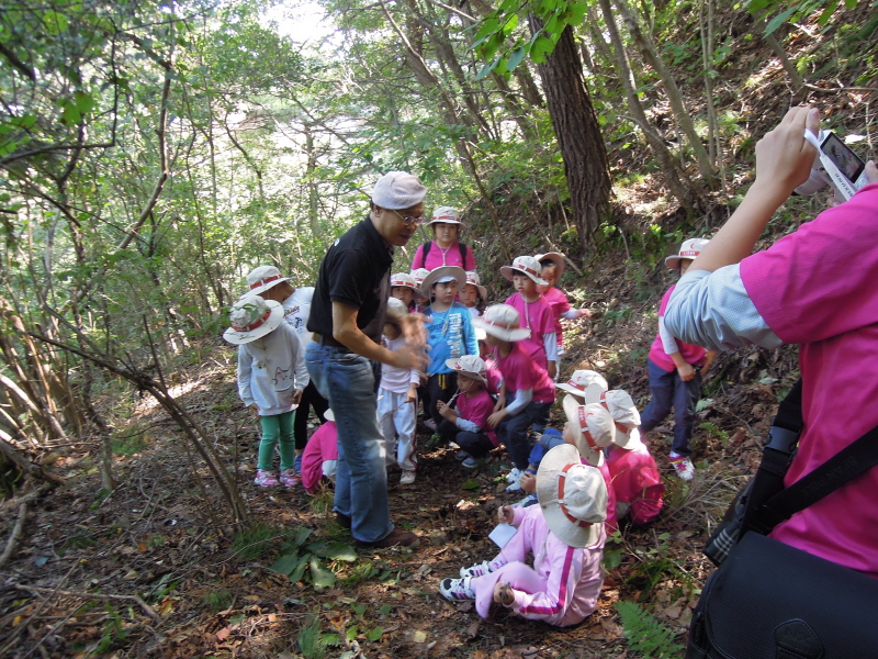 4e3d8bd61f1a17dffda45db65623a888_1705281390_2431.jpg