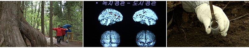 d9fb21fc6d186086be4e65c68bbb2aea_1705044056_6529.jpg d9fb21fc6d186086be4e65c68bbb2aea_1705044056_6529.jpg